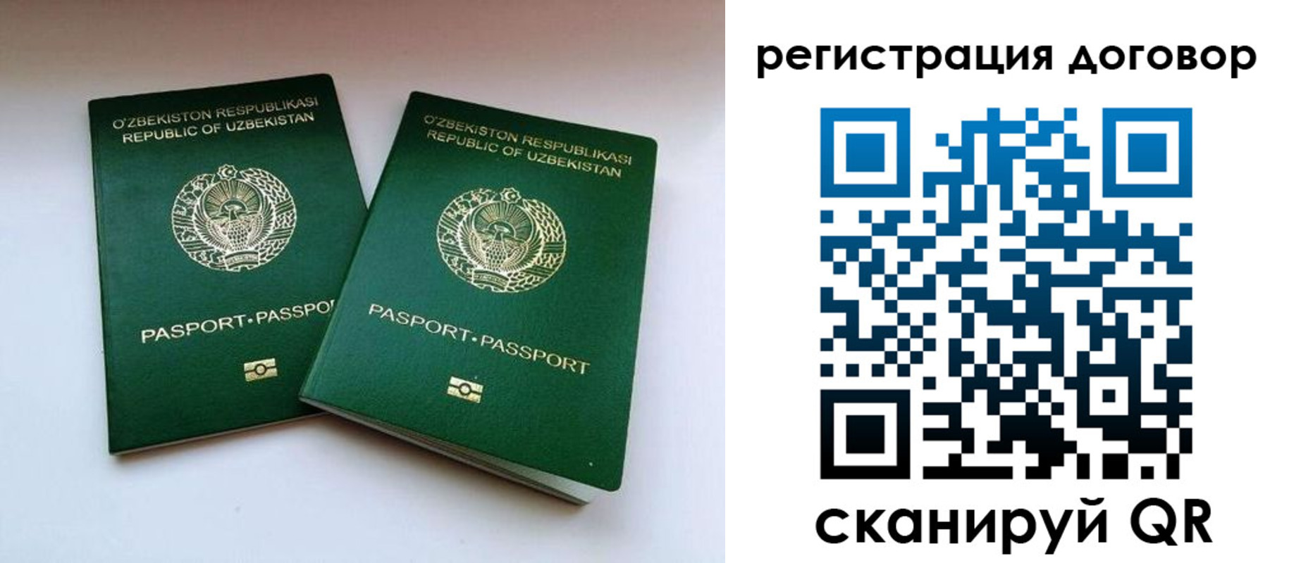 миграционный учет в Ленинградской области